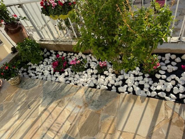Panorama Γλυκά Νερά - Athens Apartamento Exterior foto