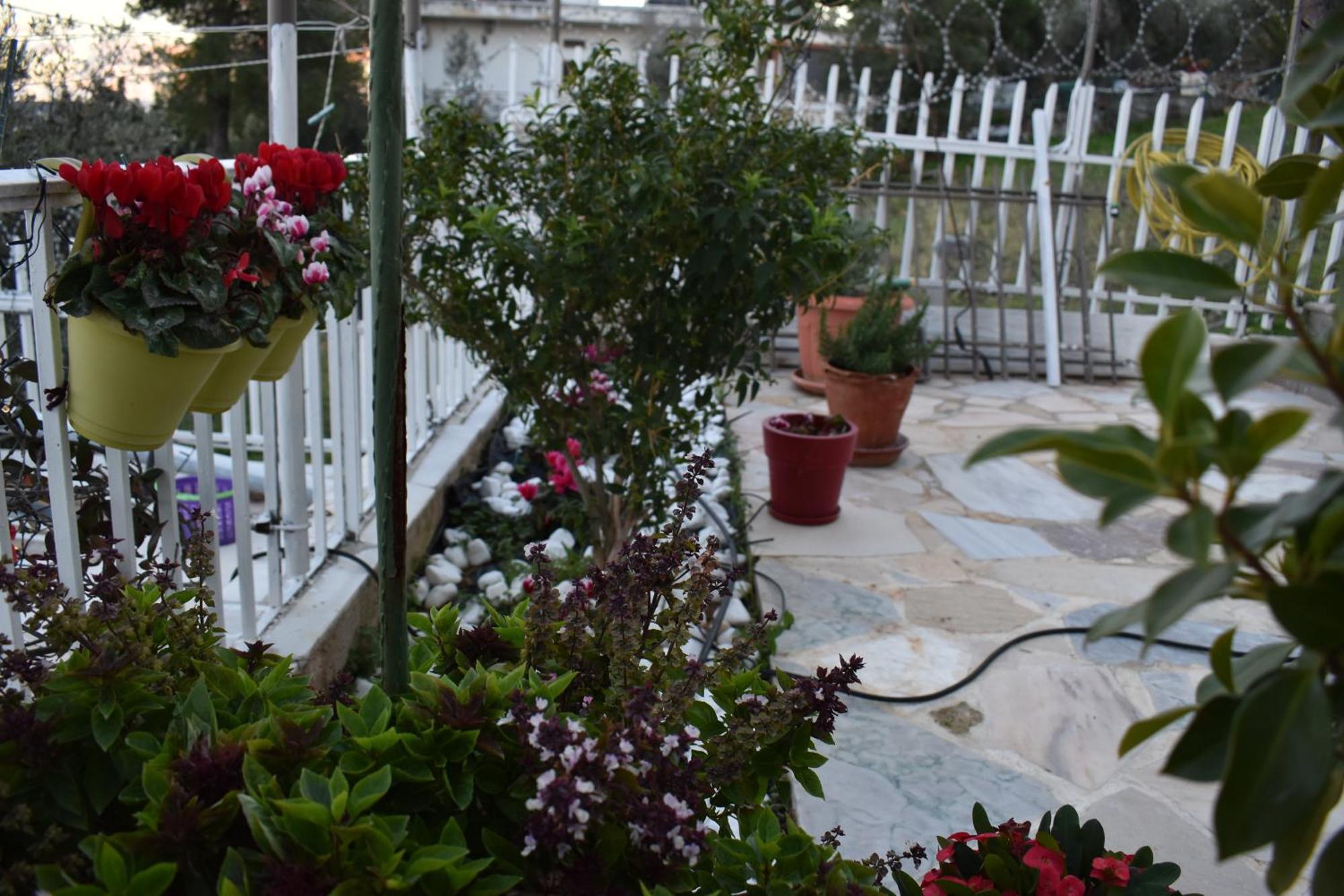 Panorama Γλυκά Νερά - Athens Apartamento Exterior foto